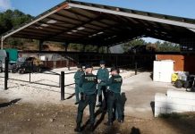 U Španiji razbijen lanac eksploatatora Ukrajinaca koji su pobjegli od rata