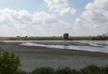 Novi talas suše pogodio sjever Italije, ugrožena proizvodnja riže