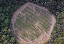 Naučnici u Francuskoj otkrili krater meteorita