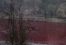 ArcelorMittal: Voda nije naštetila biljnom i životinjskom svijetu u Bosni