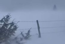 Zimska mećava na bh. planinama: Pogledajte snimak olujnog vjetra na Vlašiću