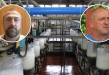 Proizvodnja na izdisaju: Provjerili smo koliko košta litar mlijeka u FBiH i RS