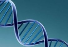 Naučnici proučili DNK 357 drevnih Evropljana, evo šta su otkrili