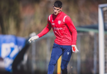 Vladan Kovačević zbog Srbije tužio FIFA-u