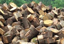 Lijepa vijest za penzionere: U ovom kantonu Vlada sufinansira kupovinu ogrjeva