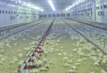 Peradari u FBiH nezadovoljni, uputili amandmane: Visina poticaja za ovu godinu 1,46 miliona KM