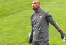 Navijači vrijeđali ženu golmana Srbije, on pljunuo prema njima