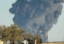 Teksas: 18.000 krava stradalo u eksploziji na farmi