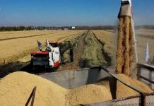 Poljska i Mađarska zabranile uvoz žita iz Ukrajine