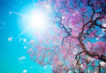 Meteorolog Bakir Krajinović otkrio kada se vraća proljeće