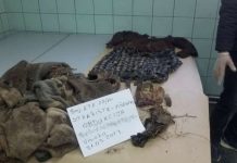 U Visokom identifikovani posmrtni ostaci jedne žrtve proteklog rata