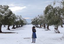 Milioni sirijskih izbjeglica suočeni sa nepovratnim gubitkom imovine