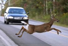 20170616233642-239198