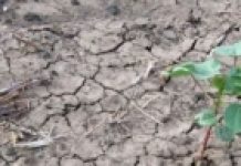 El Ninjo najvjerovatnije stiže tokom ove godine: Kako će se ovo odraziti na temperature i klimu naše planete?