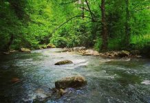 Na Neretvici se neće graditi male hidroelektrane