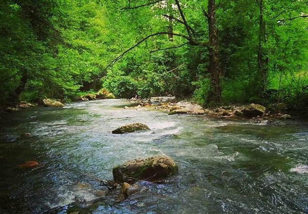neretvica-640x610-1