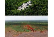 Arheolozi otkrili ostatke drevnog grada Maja, duplo veći od Vankuvera