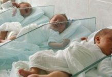 Stigli su nam novi stanovnici