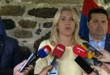 Cvijanović na obilježavanju Vidovdana na Ozrenu