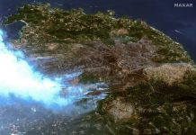 U posljednjih deset godina u svijetu izgorjelo 82 miliona hektara šuma