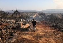 Uprkos svim naporima: Šumski požari u Grčkoj van kontrole