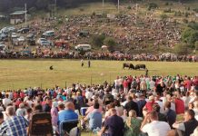 Održana Čevljanska korida, Gareša novi šampion