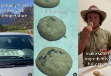 Kod njih je toliko vruće da su uspjeli ispeći kolačiće u – autu