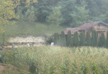 Zločin koji je potresao Bosnu i Hercegovinu i regiju: NEVZETA SE KRILA KOD TETKE, UBICA JE OTEO, PA ODVEO U VIKENDICU SMRTI