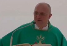 Fra Mate Vincetić: Duboko žalim ako su ove moje ‘teške riječi’ izazvale povredu osjećaja