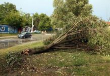 Narandžasto upozorenje danas od 14 sati