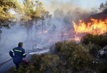 Grčke vlasti uhapsile dvojicu muškaraca zbog podmetanja požara, poginula 21 osoba