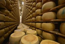 Bizaran slučaj u Italiji: Starac poginuo kada se na njega srušilo više hiljada kolutova sira