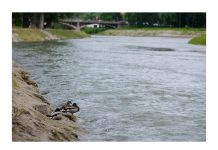 Danas do 35 stepeni: Kakvo nas vrijeme u Visokom očekuje u naredna tri dana