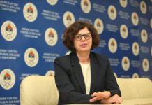 Senka-Jujic