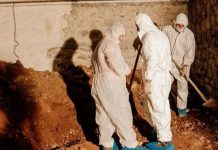 Kopači u Crnu Goru stigli iz BiH