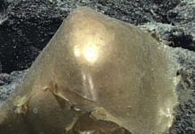 Čudesan predmet zlatnog sjaja pronađen na dnu okeana, naučnici zbunjeni