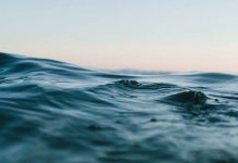 Kako spasiti okeane od mikroplastike – tajna bjelančevina iz jaja