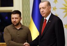 Erdoan i Zelenski razgovarali o sukobu Izraela i Palestine