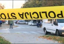 Jedina dozvoljena stopa tolerancije prema organizovanom kriminalu jeste – nulta