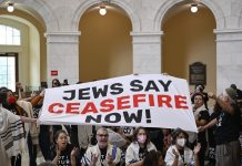 Jevrejski demonstranti uhapšeni u Capitolu, tražili prekid vatre u Gazi