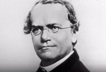 Bio je vrhunski naučnik, ali savremenici nisu prepoznali njegov genij