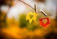 REKORDNE TEMPERATURE U OKTOBRU UKAZUJU NA TO DA ĆE 2023. BITI NAJTOPLIJA GODINA U HISTORIJI