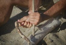 DNK neandertalaca pruža objašnjenje zašto neki vole da ustaju rano