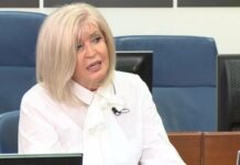 Advokatica Vasvija Vidović puštena na slobodu