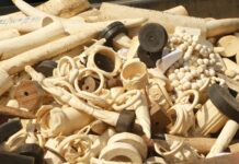 U Nigeriji uništene 2,5 tone slonovače vrijedne više od 11 miliona dolara