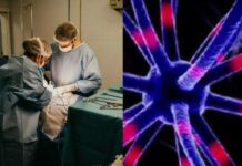 Ljudi su zapanjeni saznanjem šta se dogodi s mozgom nakon smrti