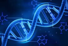 Da li DNK starih Evropljana otkriva porijeklo multiple skleroze?