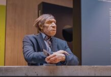 Nova studija kaže da su se neandertalci odvojili od “modernih ljudi” prije 408.000 godina