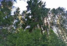 Zrak u Evropi nikada nije bio suhlji