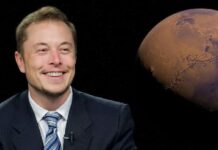 Šta rade moždani implanti i zašto ih Ilon Mask pravi?